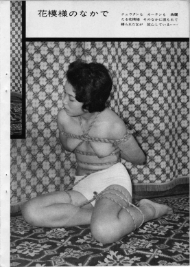 Vintage Asian Bondage Pics - #19